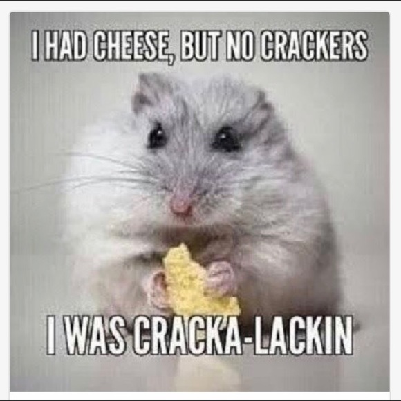 Meet your Posher, Irene - Picture 8 of 10